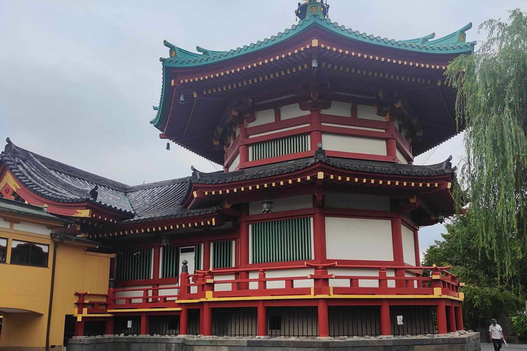 Private guided tour of Tokyo and surrounding area with English-speaking guide