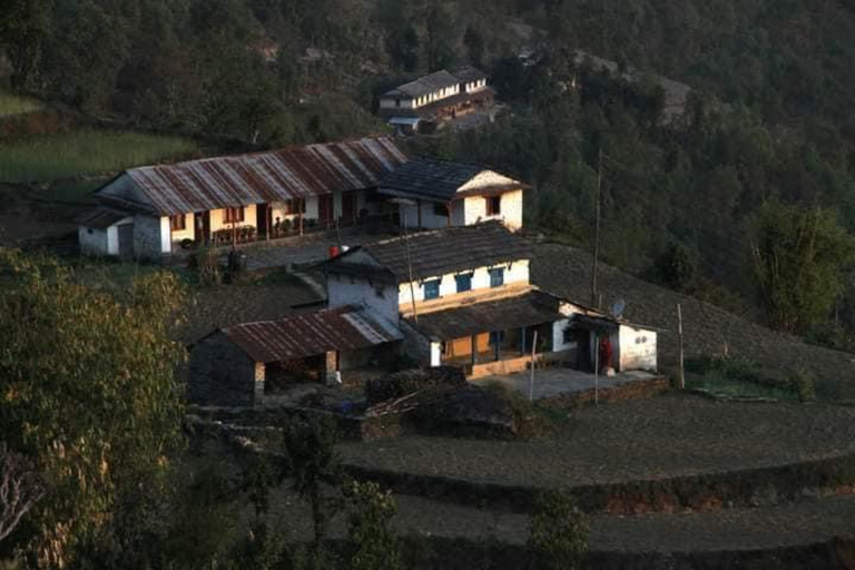 Pokhara : Trek de 3 jours à Astam, Dhampus et Australian CampPokhara : 3 jours de service