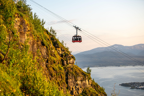 Tromsø: Fjellheisen Cable Car Ticket