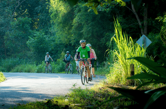 Chiang Mai Countryside E-bike Ride with Expert Guide & Lunch