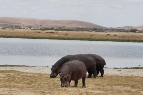 Park Narodowy Amboseli i jednodniowa wycieczka do wioski Masajów