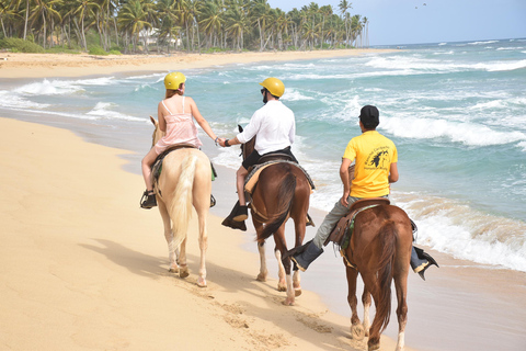 Punta Cana: Relaxed Beginner Horseback Ride on Uvero Beach. Afternoon 1 Hour - Horseback Riding