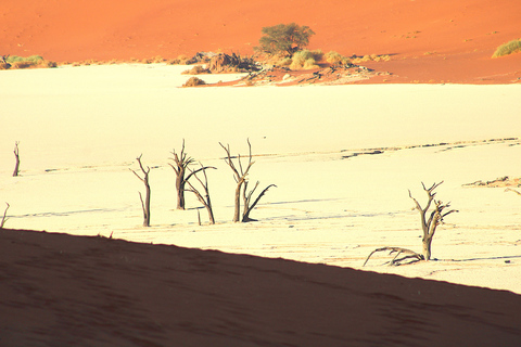 From Windhoek: 12-Day Namibia Camping Trip