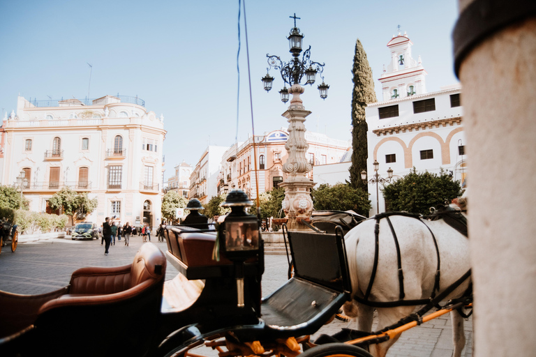 Private Horse-Drawn Carriage Ride in Seville