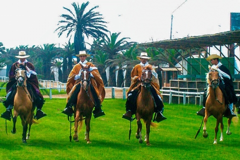 Please wait in the hotel lobby 10 minutes before your schedu From Trujillo: full day with paso horses and sailor show