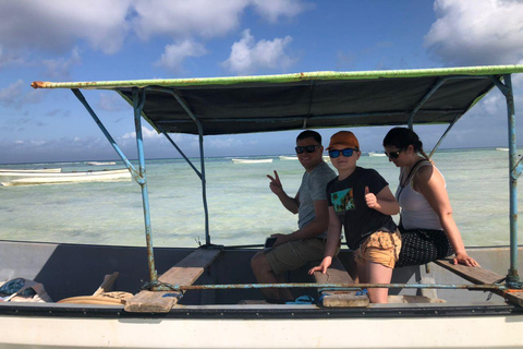 Tour particular: Golfinhos e Safári Azul na Ilha Pungume