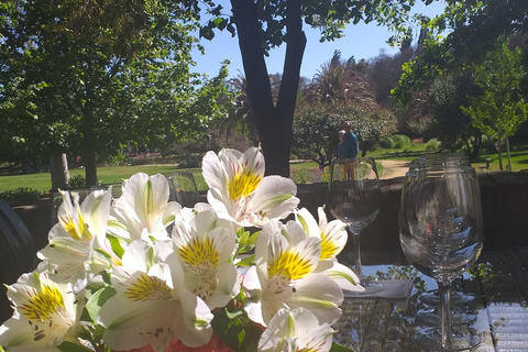 Matetic Winery Tour