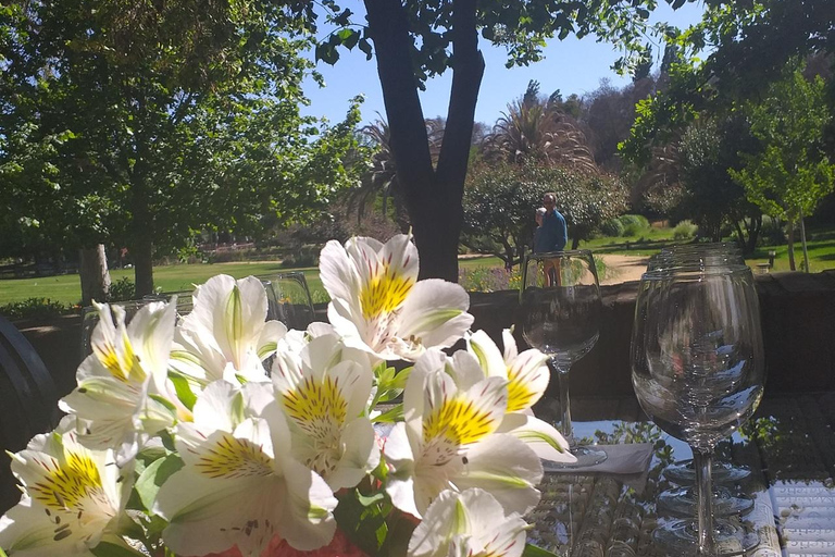 Matetic Winery Tour