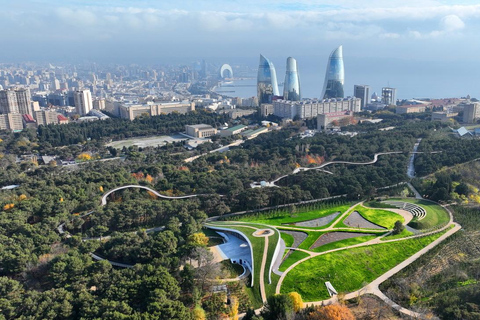 Paws in the City: Pet-Friendly Baku Experience