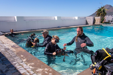 Cape Town: Discover Scuba Diving - 1 day experience
