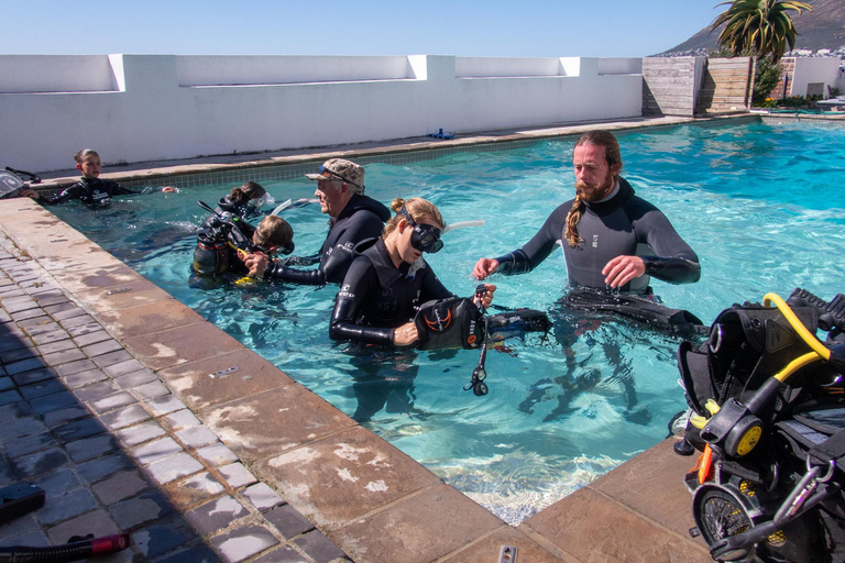 Cape Town: Discover Scuba Diving - 1 day experience