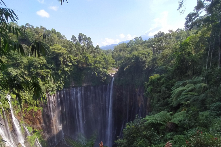 Surabaya ou Malang: 3D2N Tumpak Sewu Bromo IjenDe Surabaya ou Malang: 3D2N drop UBUD