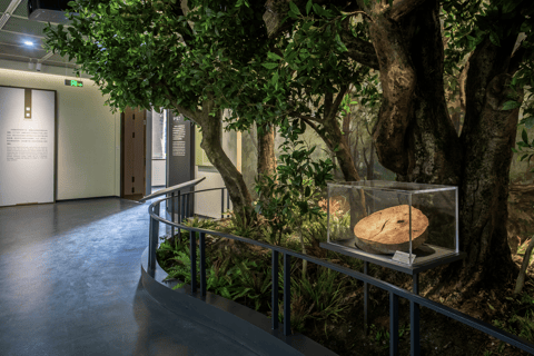 Hangzhou: Longjing Tea Culture & Nine Creeks Day Tour
