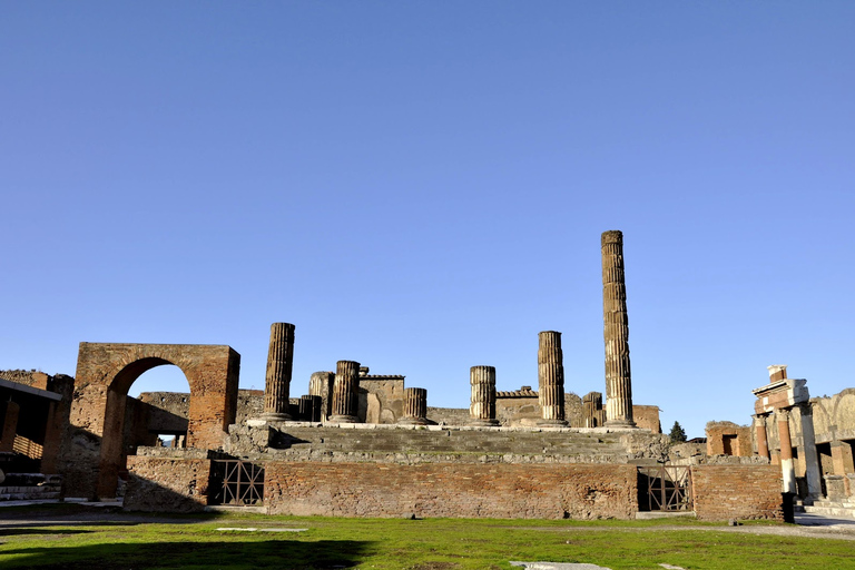 Desde el puerto de Nápoles: tour de medio día de Pompeya