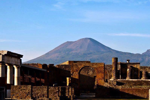 Desde el puerto de Nápoles: tour de medio día de Pompeya