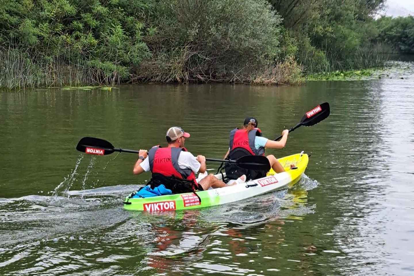 Skadar Lake kayak tour: A Journey Through Tranquility