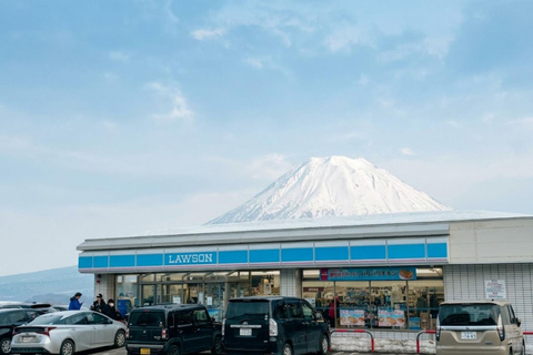 From Sapporo: Noboribetsu, Lake Toya, and Niseko Day Trip Shared Tour, Meet at Sapporo Station