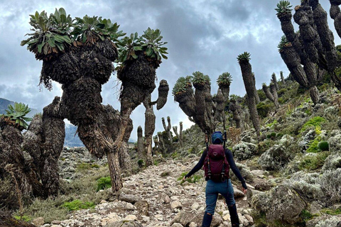 Nairobi: Great Rift Valley Volcanic Rock Tour with Pickup