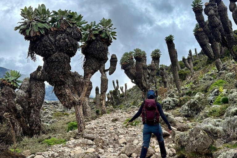Nairobi: Great Rift Valley Volcanic Rock Tour with Pickup