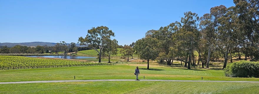 Adélaïde : Circuit des vins et/ou du gin de Hahndorf et des collines