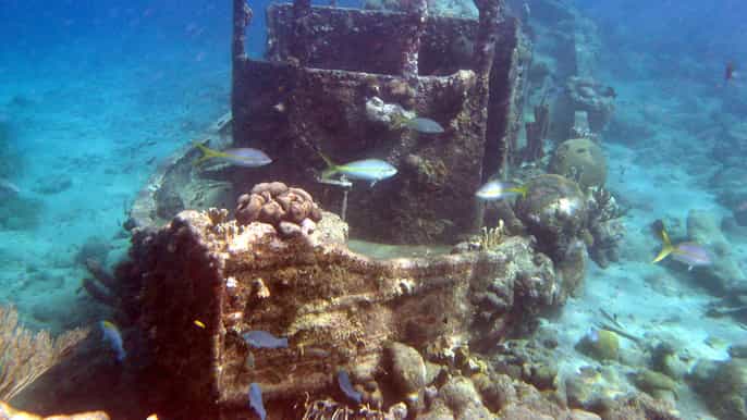 from willemstad tugboat reef snorkel and fort beekenburg