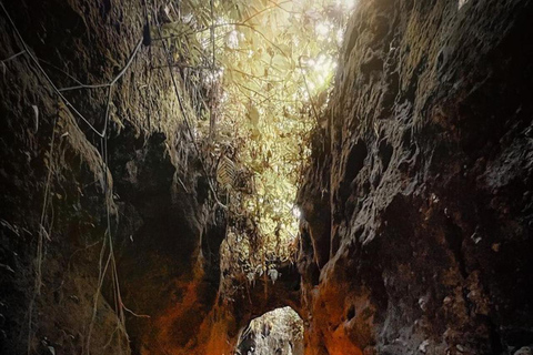 Ruta en quad por Bali con túnel y cascadaQuad individual sin traslado