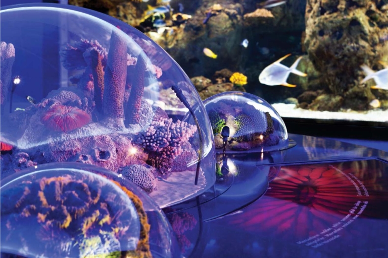 Istanbul : aquarium et centre commercial Aqua Florya