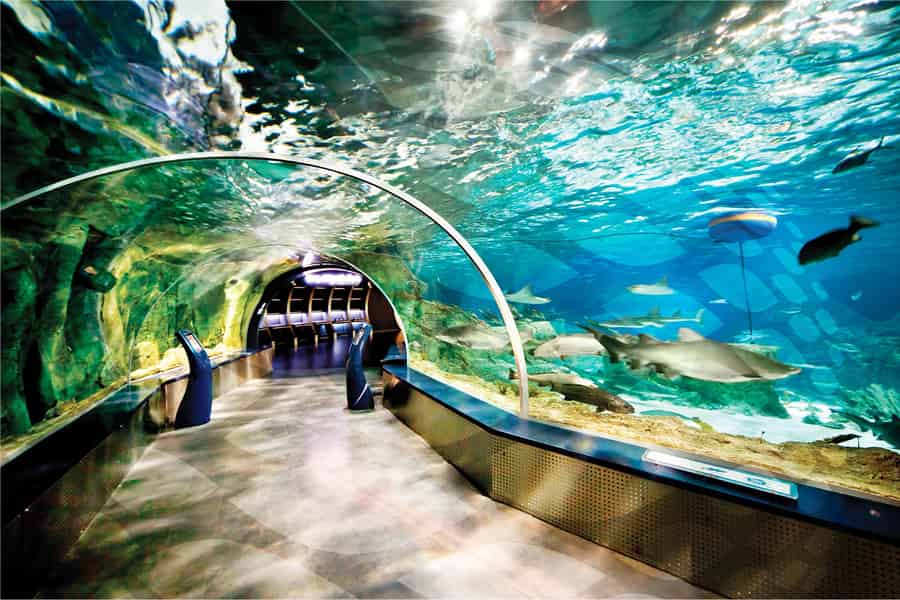 Istanbul Aquarium en Aqua Florya winkelcentrum tour