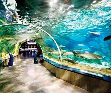 Istanbul Aquarium and Aqua Florya Shopping Mall Tour