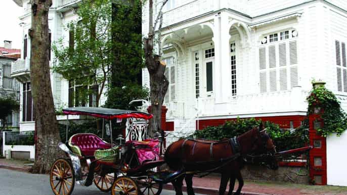 from istanbul büyükada walking fullday tour