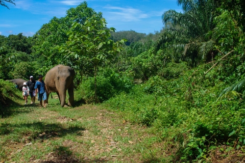 Khao Lak: Ethical Elephant Sanctuary Experience Khao Lak: Elephant Care Experience