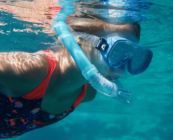 Puerto de Sóller: Train, Boat Cruise and snorkeling