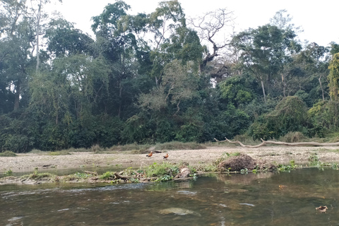 From Kathmandu: 4-Day Chitwan National Park Tour