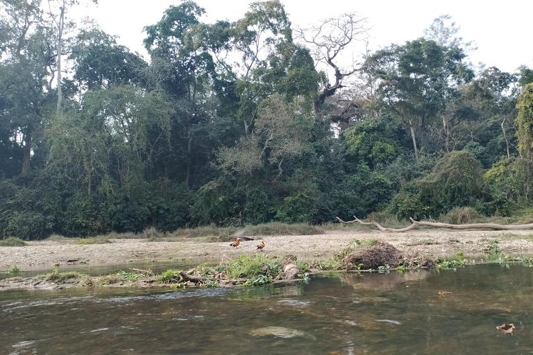 From Kathmandu: 4-Day Chitwan National Park Tour