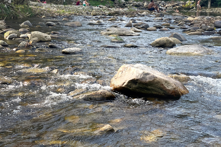 Paraty: Serra da Bocaina National Park Guided Hike