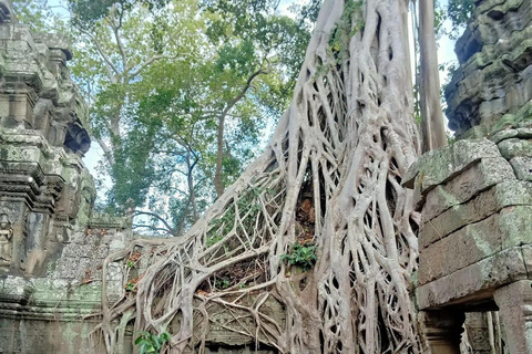 Siem Reap: Tour de 1 dia em Angkor com guia de turismo que fala francêsOpção 2: Tour em pequenos grupos