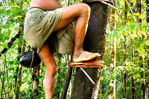 UNESCO Kitul Production Program Tour in a Kandy Village