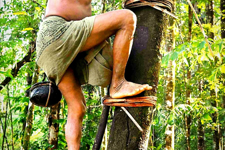 UNESCO Kitul Production Program Tour in a Kandy Village