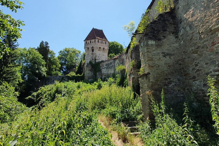 From Bucharest: 7-Day Private Guided Tour of Romania Standard option