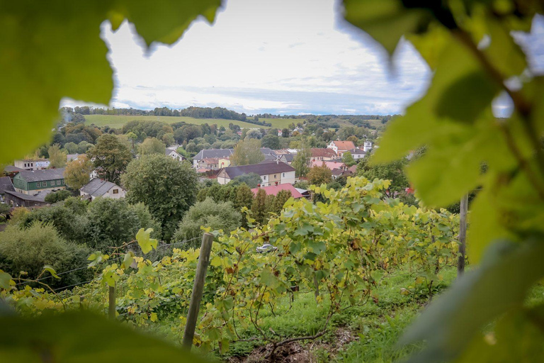 Kuldiga, a joia de cachoeira da Letônia, passeio com degustação de vinhos