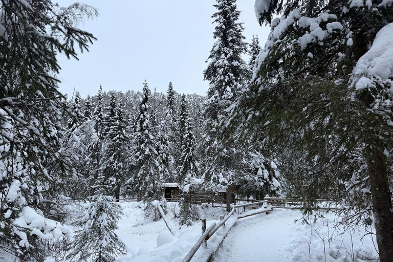 Rovaniemi to Ruka Roller Coaster & Korouoma Canyon Waterfall