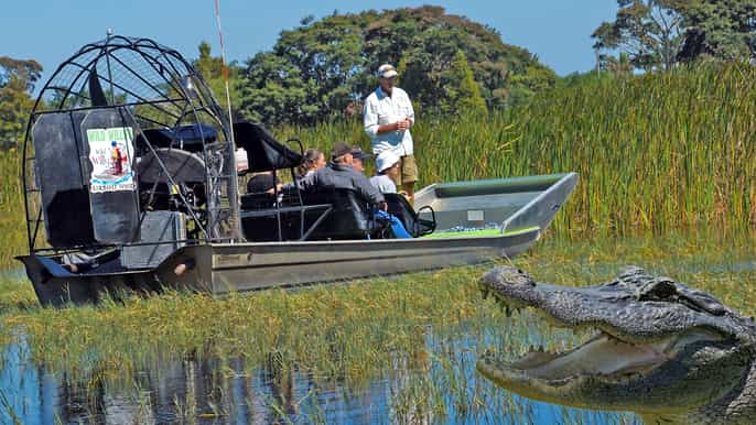 orlando avventura in airboat di 1 ora