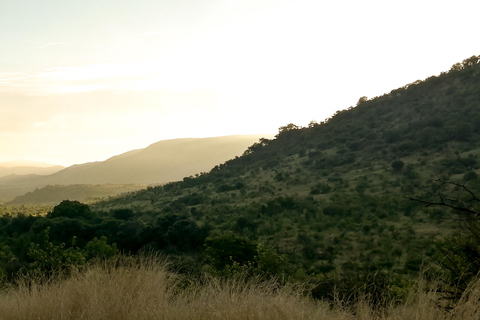 Safari de prestige de 2 jours à Pilanesberg