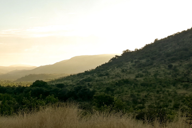 Safari de prestige de 2 jours à Pilanesberg