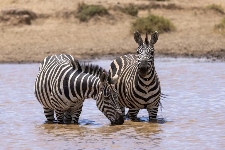 Nairobi: 7-Day Safari Tour with Game Drives and Lodging