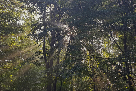Gdynia: Forest, Cliff, and Beach Guided Walking Tour