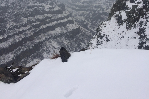 阿拉加茨山全天雪地体验之旅（含导游）