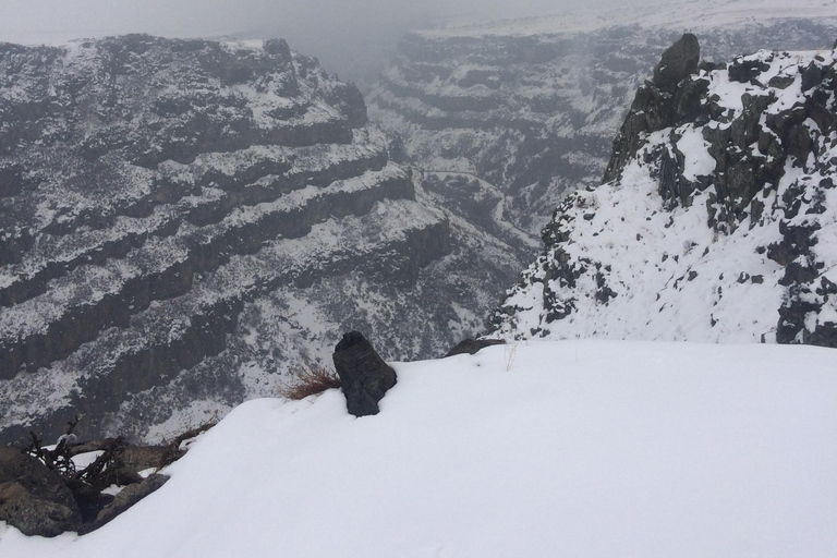 阿拉加茨山全天雪地体验之旅（含导游）