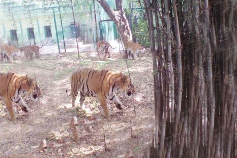 Private Bannerghatta National Park Day Excursion