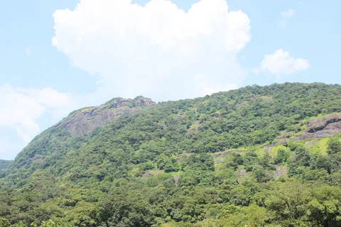 Escursione privata di un'intera giornata a Nandi Hill con pranzo